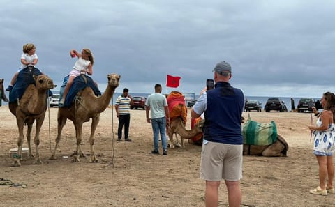 Sightseeing Day Trip from Tangier to Asilah, Morocco
