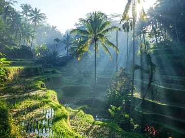 Bali: Full-Day Instagram Highlights Tour
