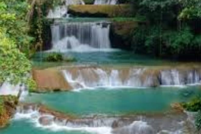 Black River Safari Guided Tour & YS Falls Tour  6