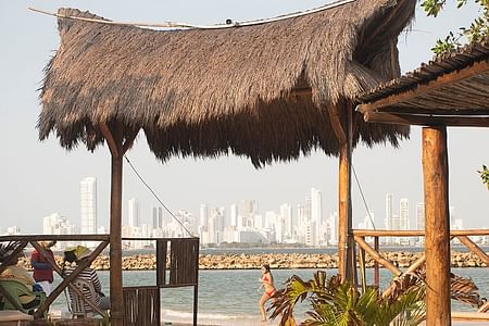 BEACH CLUB DAY PASS With A LA CARTE LUNCH And WELCOME COCKTAIL