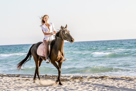 Bodrum Horseback Riding Experience  with Hotel Transfer