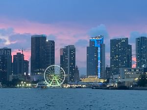 Miami Skyline: Happy Hour 75 Min Sightseeing Cruise & Millionaire Homes 