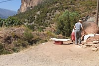 5 Days Natural Park Tour 6