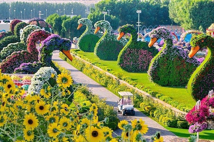 Dubai Miracle garden