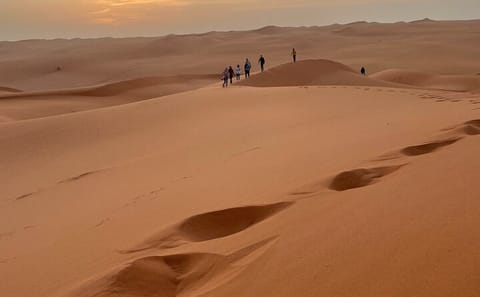 Red Sand Dunes Tour in Riyadh with Camel Ride and Quad Biking