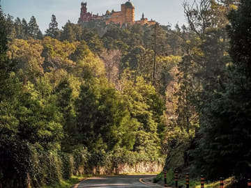 Half-Day Sintra Tour with Pena Palace and Pastry Tasting