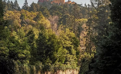 Pena Palace Half-Day Small-Group Tour in Sintra