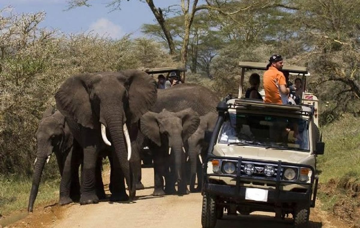 8-Day Private Safari Tour of Kenya and Tanzania from Nairobi