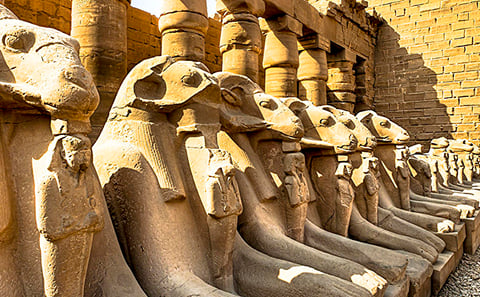 5-Day Lake Nasser Adventure from Aswan to Abu Simbel