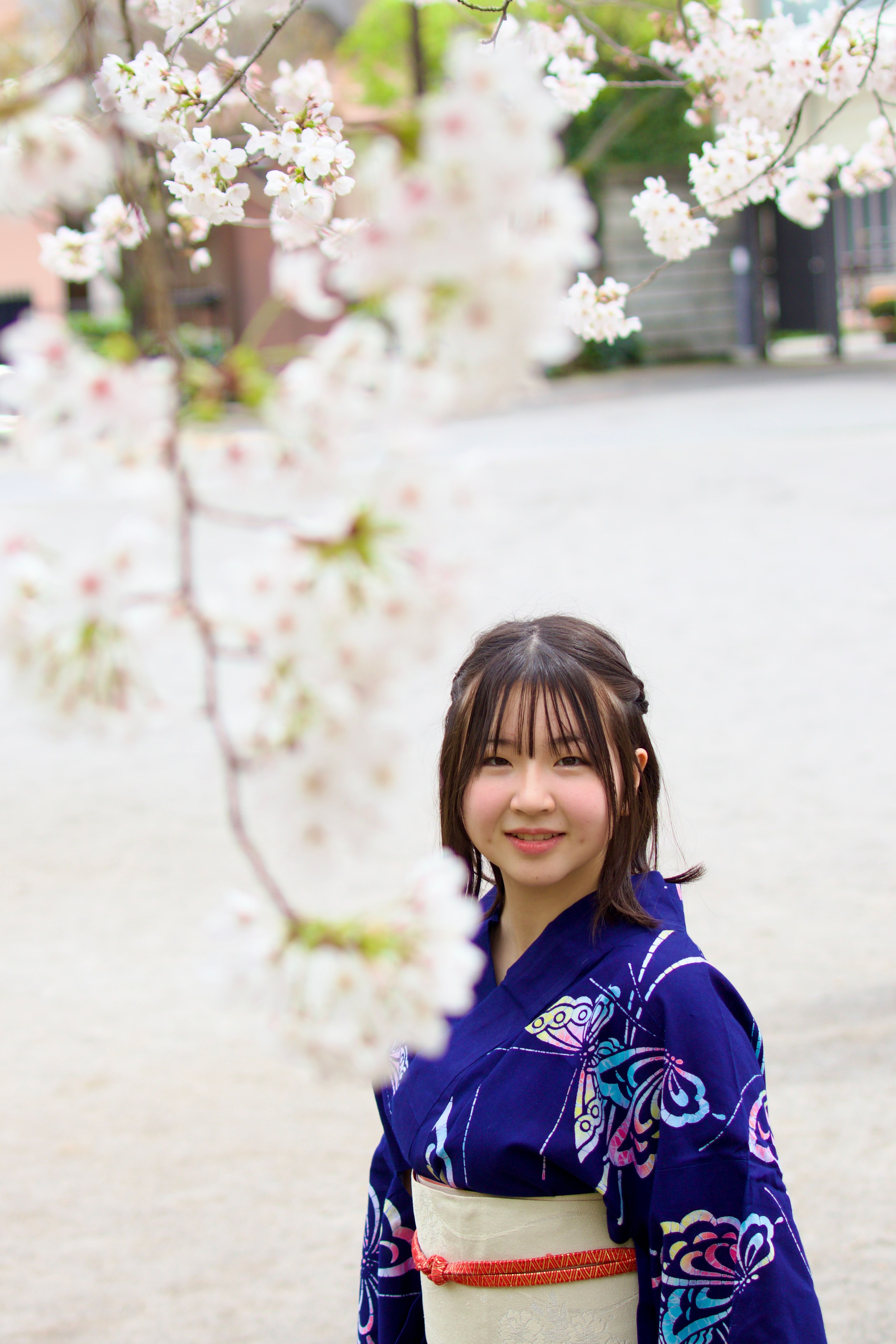 Experience Tea Ceremony while wearing a private kimono in Asakusa. Includes portrait shooting with a single-lens reflex camera