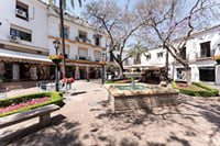 City Walk + Wine and Olive Oil tasting 4
