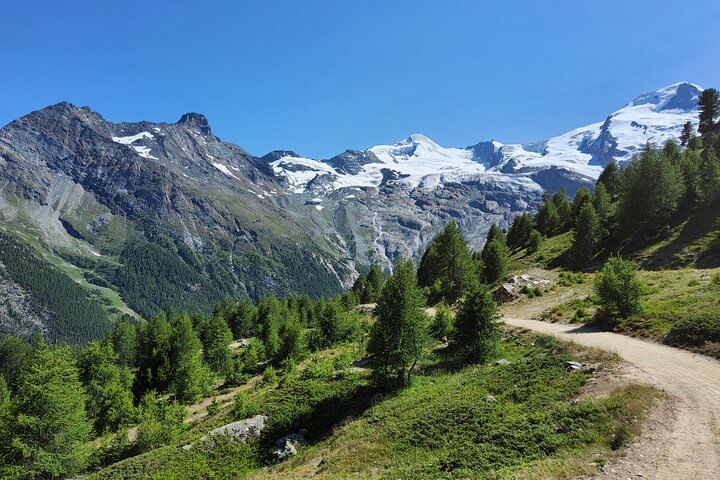 4 Day Trekking Tour Swiss Magic Through the Alps