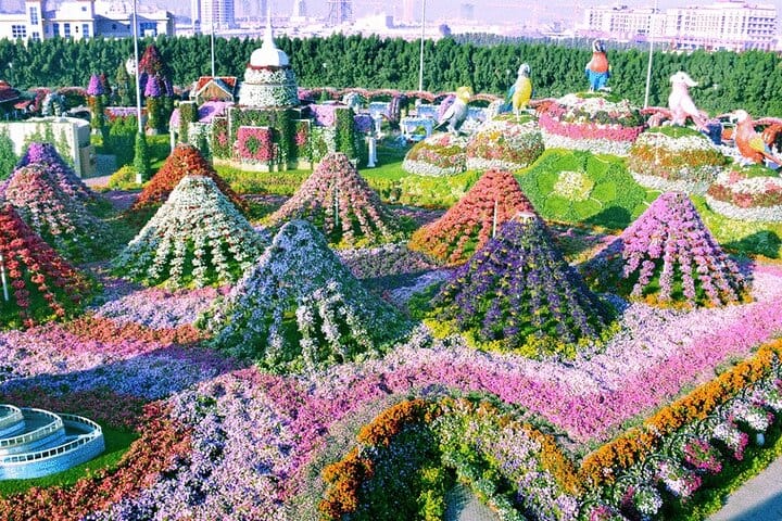 Miracle Garden