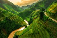 Mu Cang Chai - Off Beaten Trekking Tour 3 days