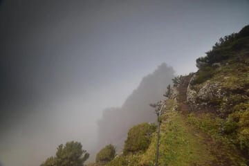 Hiking Tour on PR13 Vereda do Fanal from Funchal