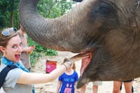 Phnom Tamoa Wildlife Rescue Center & Buddha Kiri Cambodia Day Tour 6