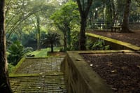 Kalutara,Lunuganga & Brief Garden Tour from Colombo 6