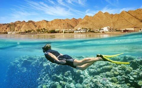 Dahab Day Tour: Snorkeling, ATV Biking, and City Exploration