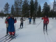 Cross-Country Skiing Experience in Pyhä-Luosto	 5