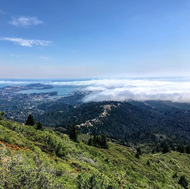 THE GOLDEN GATE & MARIN | 1-Day Motorcycle tour 9