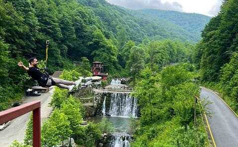 From Istanbul: Sapanca Lake Day Trip with Lunch
