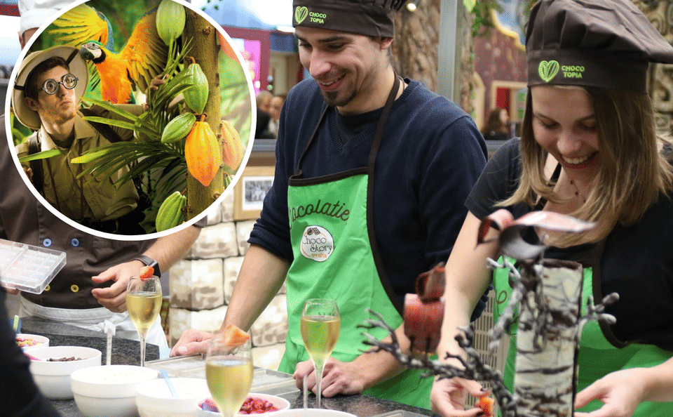 Chocolate Workshop and Factory Tour in Průhonice, Czechia