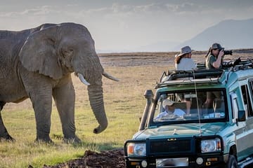 4 Day Amboseli Tsavo West and East Safari on 4×4 Landcruiser Jeep