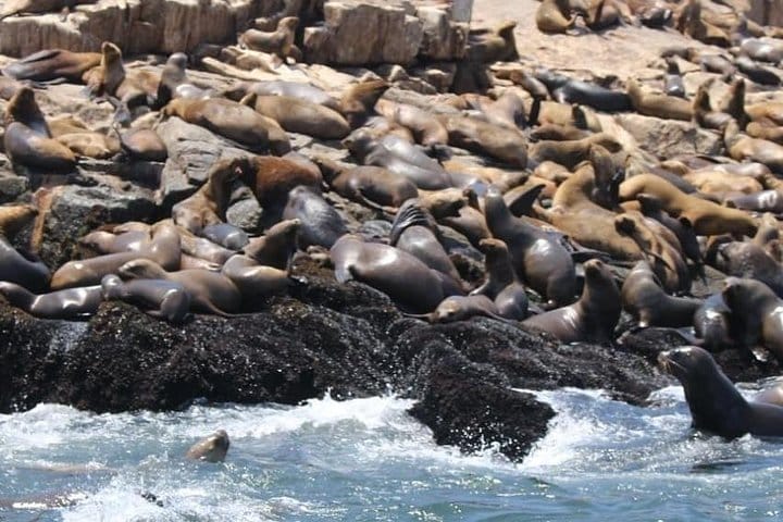 Things to do in Peru