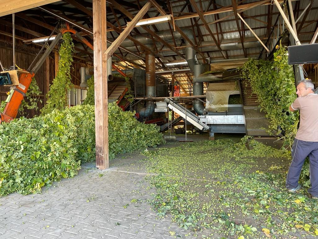 Hopfenbetrieb