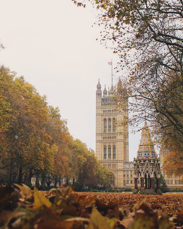 Christmas Westminster tour