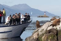 Beagle Channel Yacht Sailing Tour from Ushuaia 6