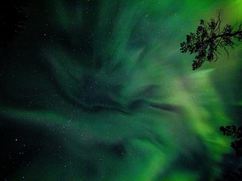 Northern Lights for Families – A Private, Cozy Adventure for Kids, photo 4