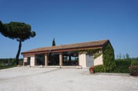 Exclusive Private Bolgheri Experience from Florence: The Land of the Super Tuscan 10