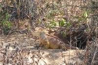  4-Day Galapagos Island Hopping Tour 5