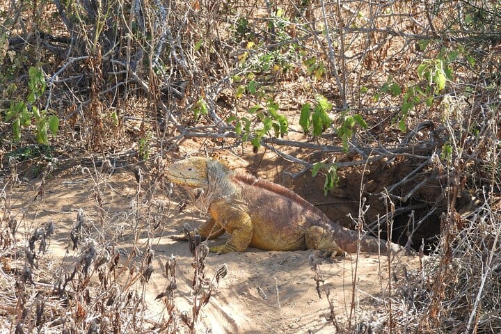  4-Day Galapagos Island Hopping Tour 5