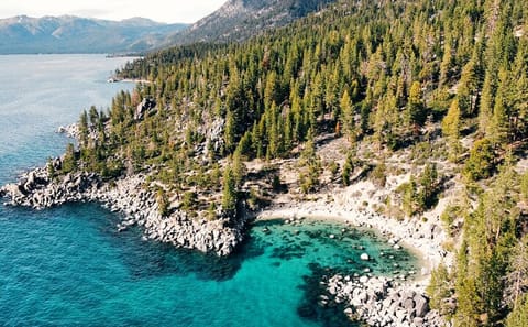 Professional Photo Shoot Experience in Lake Tahoe