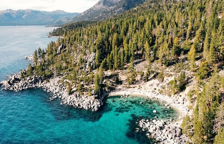 Professional Photo Shoot Experience in Lake Tahoe