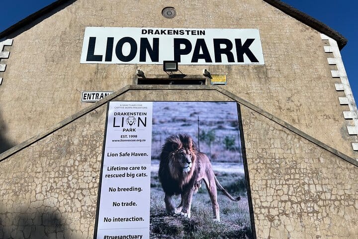 Giraffe Encounter and Lion Park with Wine Tasting in Stellenbosch