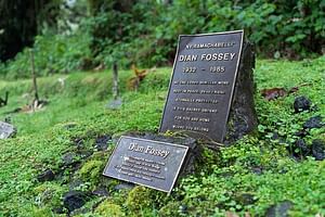 2-Day Private Trek to Dian Fossey's Grave and Cultural Tour