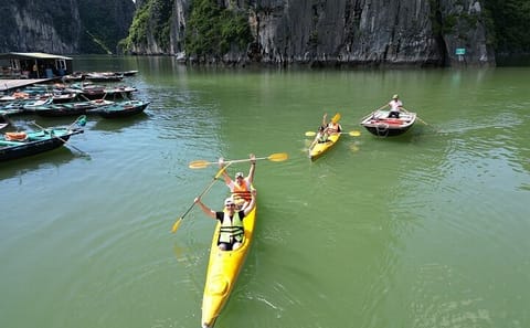 Ha Long Bay Tour: 4-Hour Cruise, Kayak, Cave Exploration & Lunch