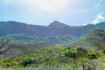 Chaparri Ecological Reserve Day Trip from Chiclayo