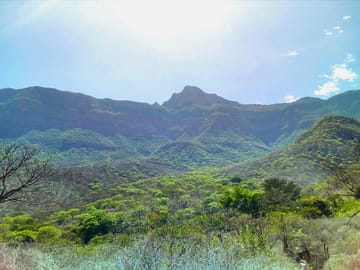 Chaparri Ecological Reserve Day Trip from Chiclayo