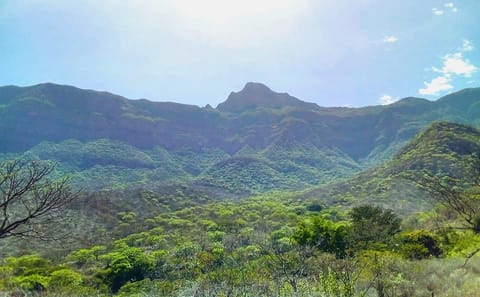 Chaparri Ecological Reserve Day Trip from Chiclayo