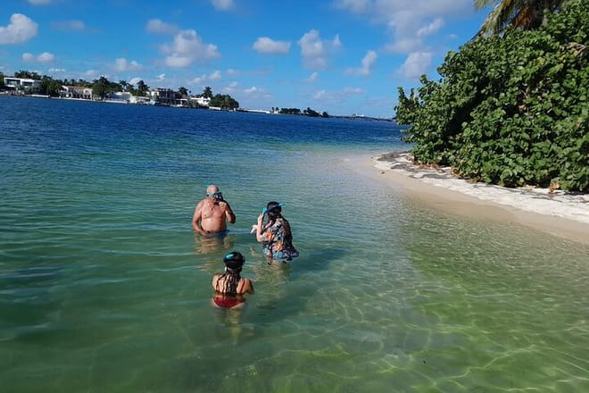 Miami: Snorkel adventure & Sandbar Trip