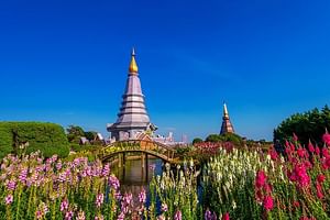 One day Doi Inthanon Trekking at Kew Mae Pan