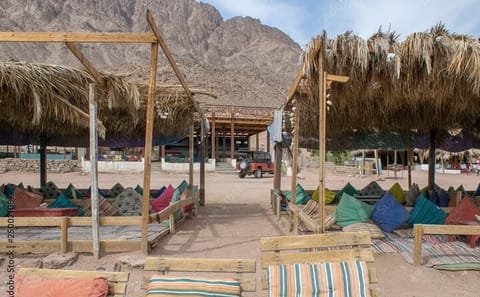 Dahab Day Tour with Snorkeling at 3 Pools National Park