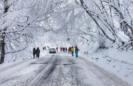 Tour in the forest of Sabadur and the chronicler of Georgia.