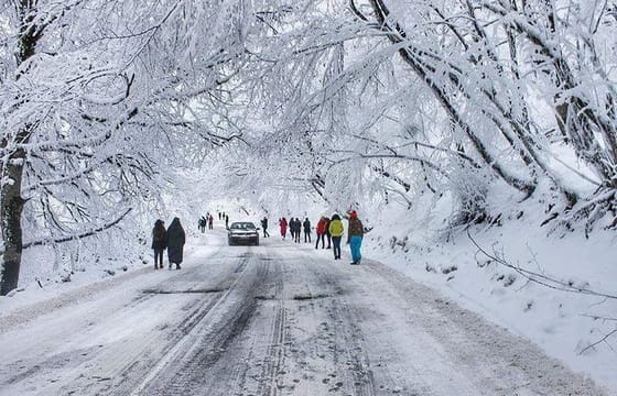 Tour in the forest of Sabadur and the chronicler of Georgia.