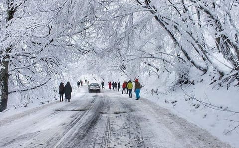 Cultural Walking Tour in Sabadur Forest and Tianeti, Georgia