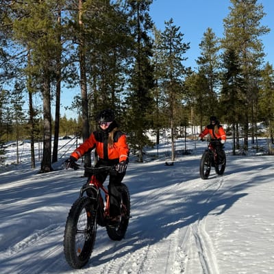 Electric Fat Biking at a Reindeer Farm in Rovaniemi - Image 5